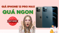 Giá iPhone 12 Pro Max mới nhất 2024 | Cập nhật liên tục