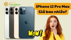 iPhone 12 Pro Max giá còn bao nhiêu trong năm 2024?