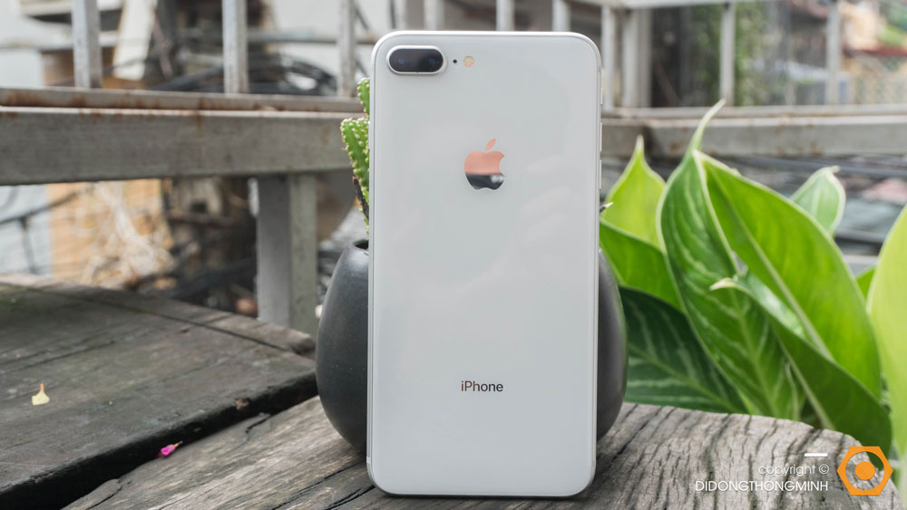 iPhone 8 Plus cũ rẻ chưa từng thấy, có nên mua ở thời điểm này ?