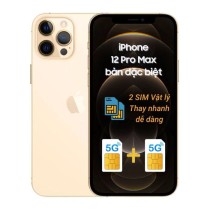 iPhone 12 Pro Max 256GB Cũ Nguyên Bản Đẹp Như Mới 2 Sim Vật Lý