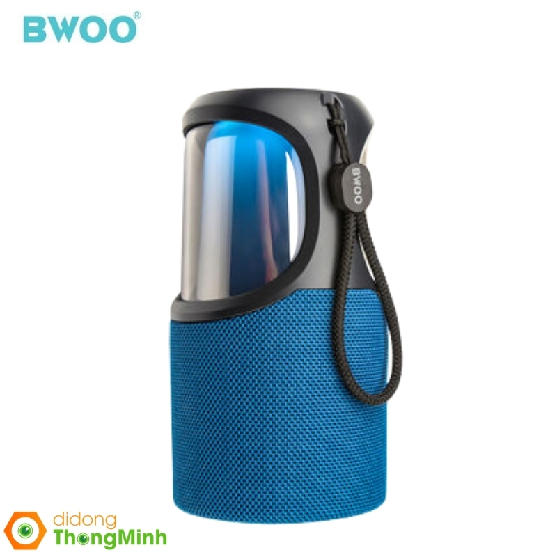 Loa Bluetooth BWOO BS60