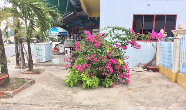 iPad Air cũ -camera