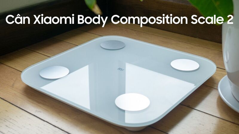 cân Xiaomi Body Composition Scale 2