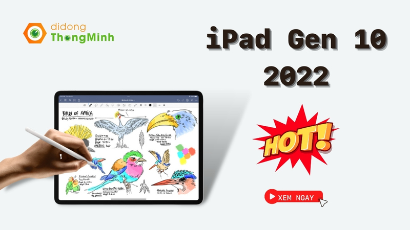 iPad Gen 10