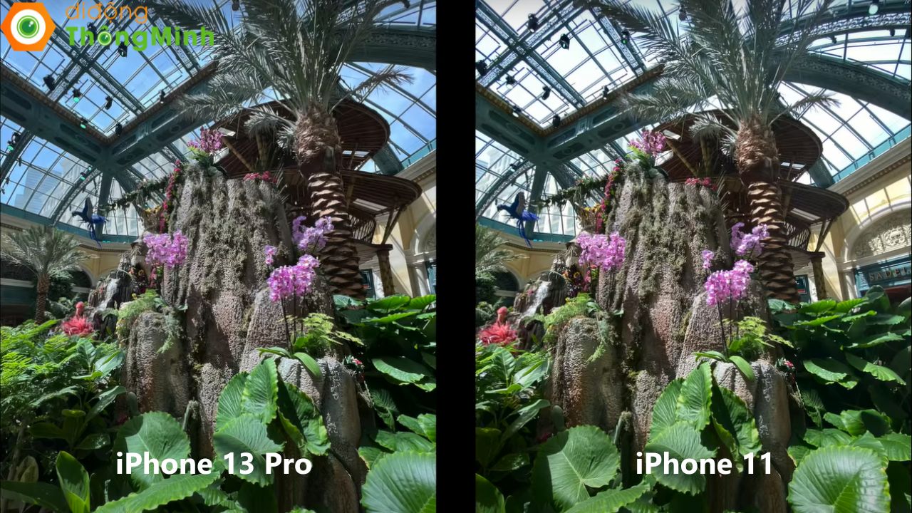 So sánh giữa camera của iPhone 13 Pro và iPhone 11