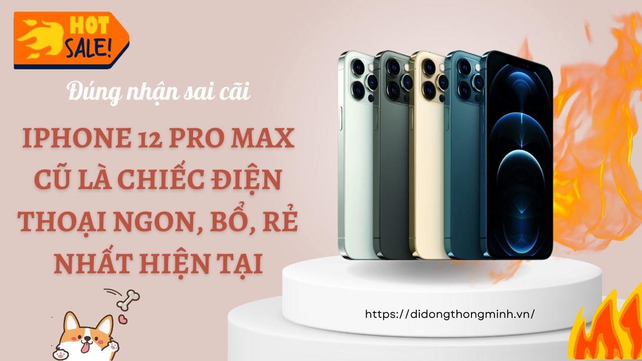  iPhone 12 Pro Max cũ là chiếc điện thoại ngon, bổ, rẻ nhất hiện tại