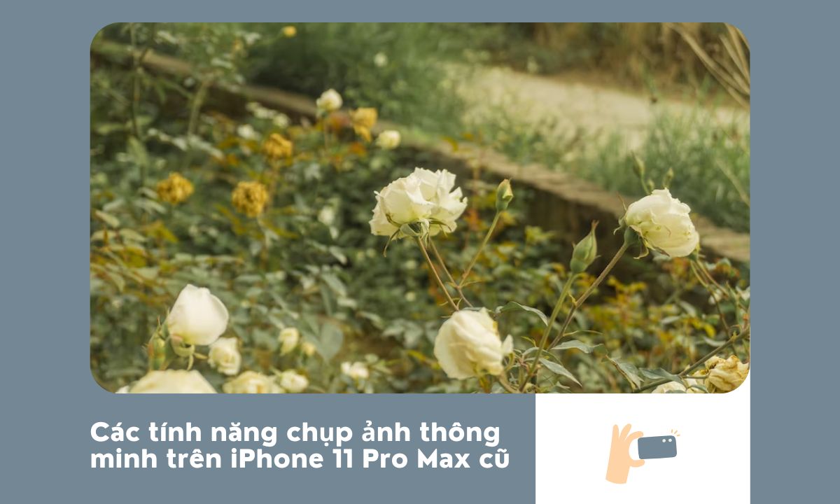 Các tính năng chụp ảnh thông minh trên iPhone 11 Pro Max cũ