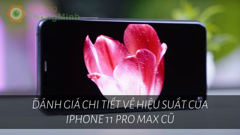 Đánh giá chi tiết về hiệu suất của iPhone 11 Pro Max cũ