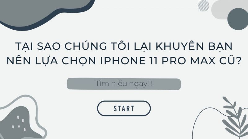 Tại sao chúng tôi lại khuyên bạn nên lựa chọn iPhone 11 Pro Max cũ?