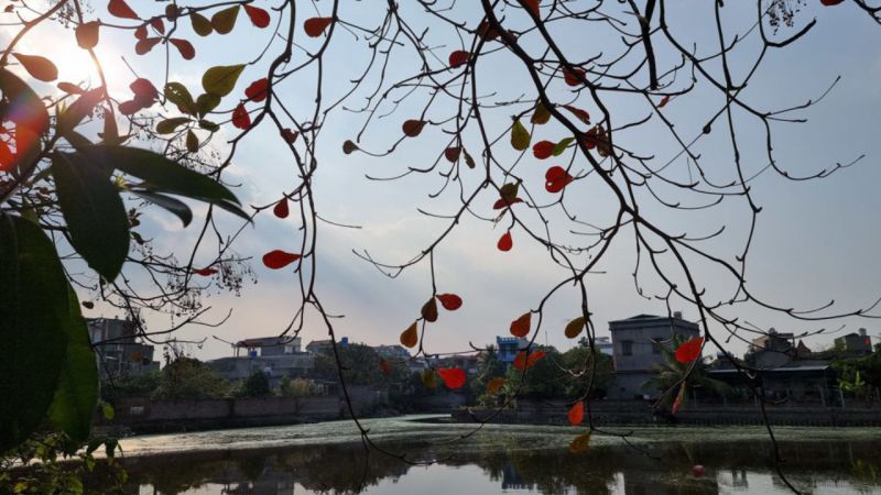 Hình ảnh chụp thực tế bằng camera chính của Samsung Galaxy S21 Ultra 5G Mỹ Cũ