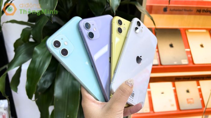 iPhone 11 giá siêu rẻ tại Di Động Thông Minh năm 2024