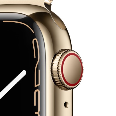 Apple_Watch_Series_7_Cell_41mm_Gold_Stainless_Steel_Gold_Milanese_Loop_PDP_Image_Position-3__VN.jpg