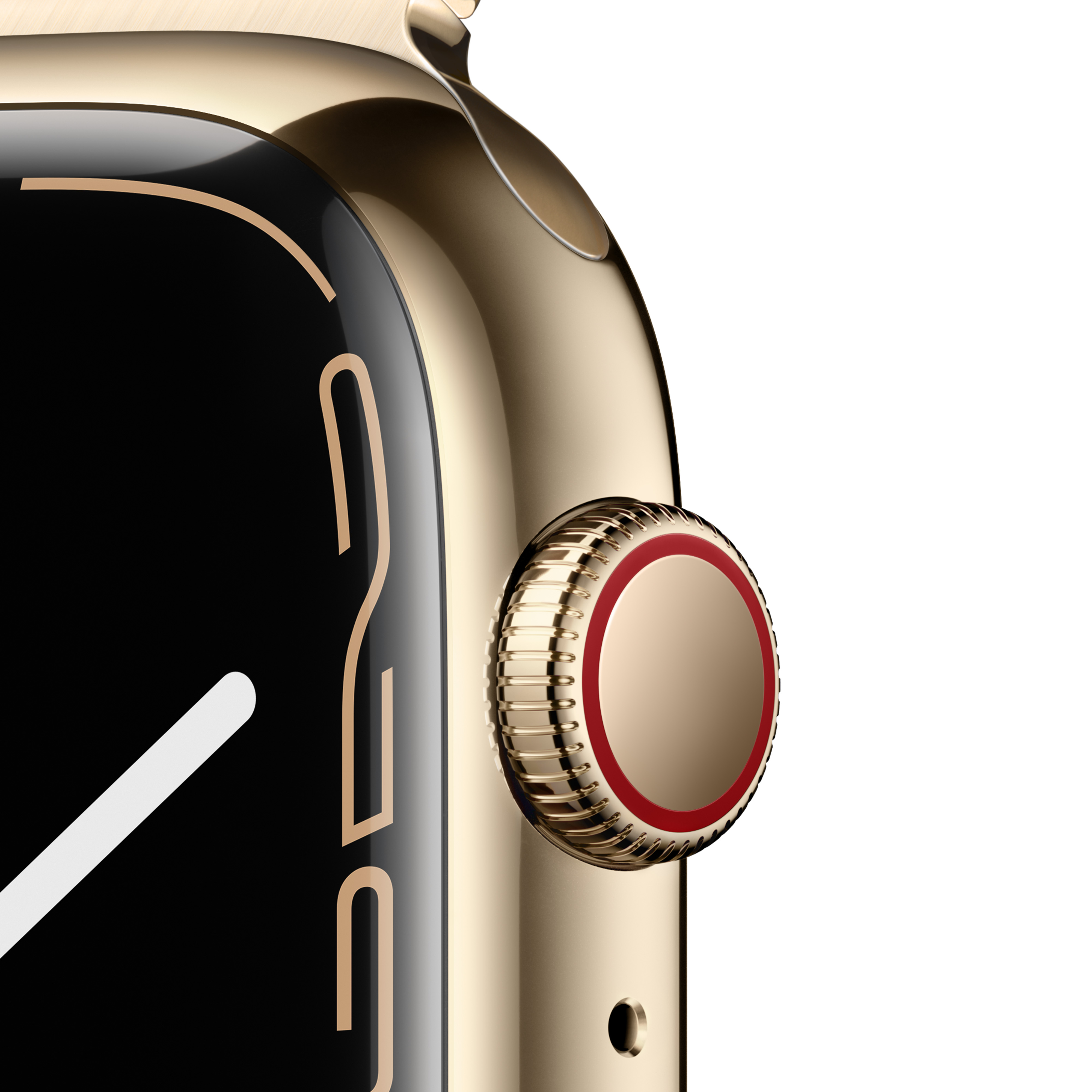 Apple_Watch_Series_7_Cell_45mm_Gold_Stainless_Steel_Gold_Milanese_Loop_PDP_Image_Position-3__VN.jpg
