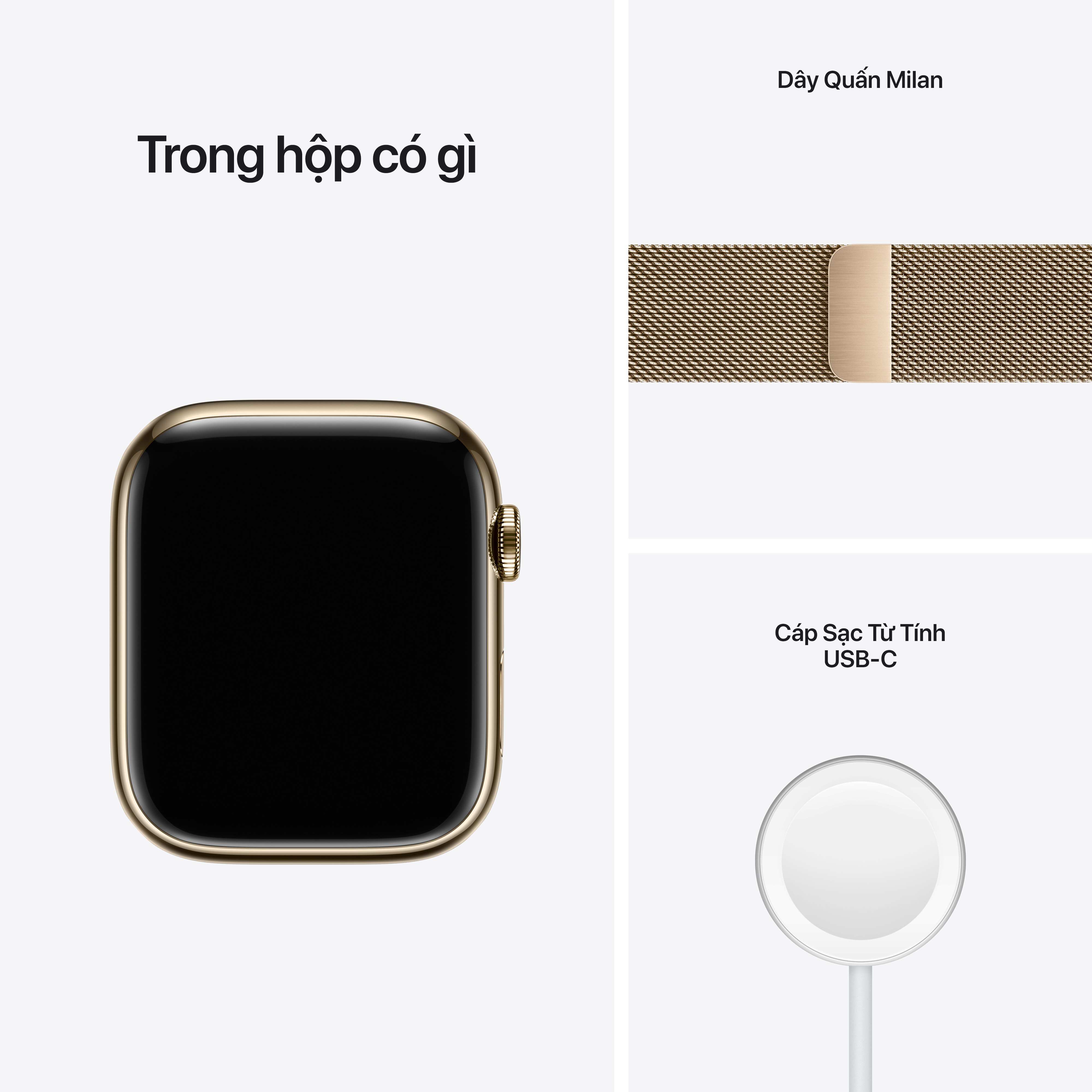 Apple_Watch_Series_7_Cell_45mm_Gold_Stainless_Steel_Gold_Milanese_Loop_PDP_Image_Position-9__VN.jpg